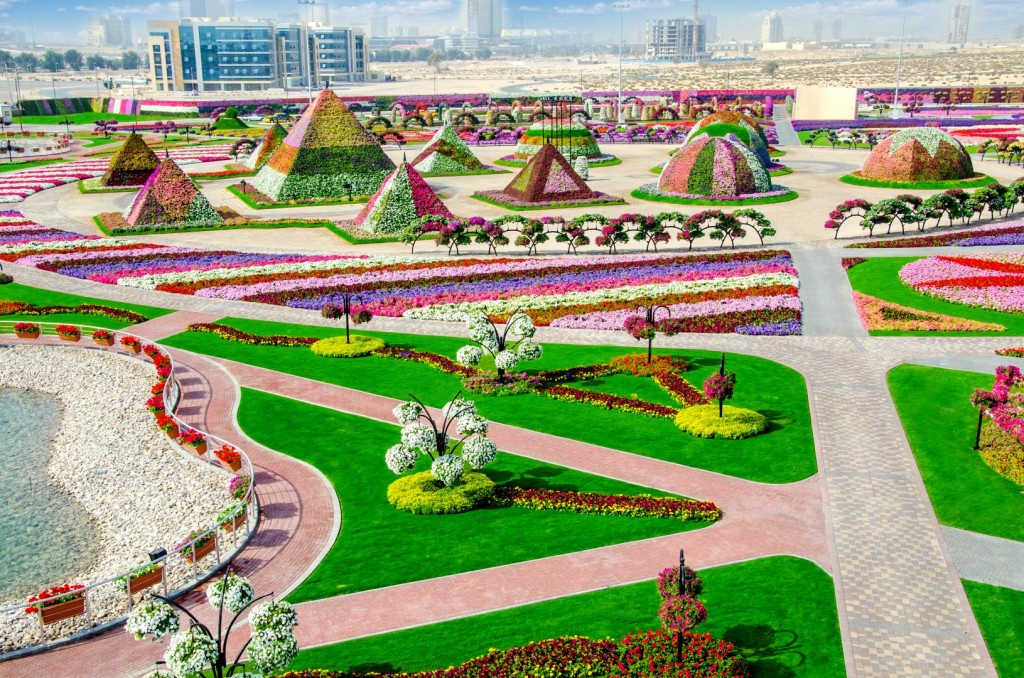 dubai_miracle_garden