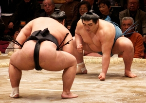 sumo